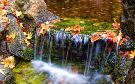 Şelale Resimleri (Waterfall) - Duvar Kağıtları - 2